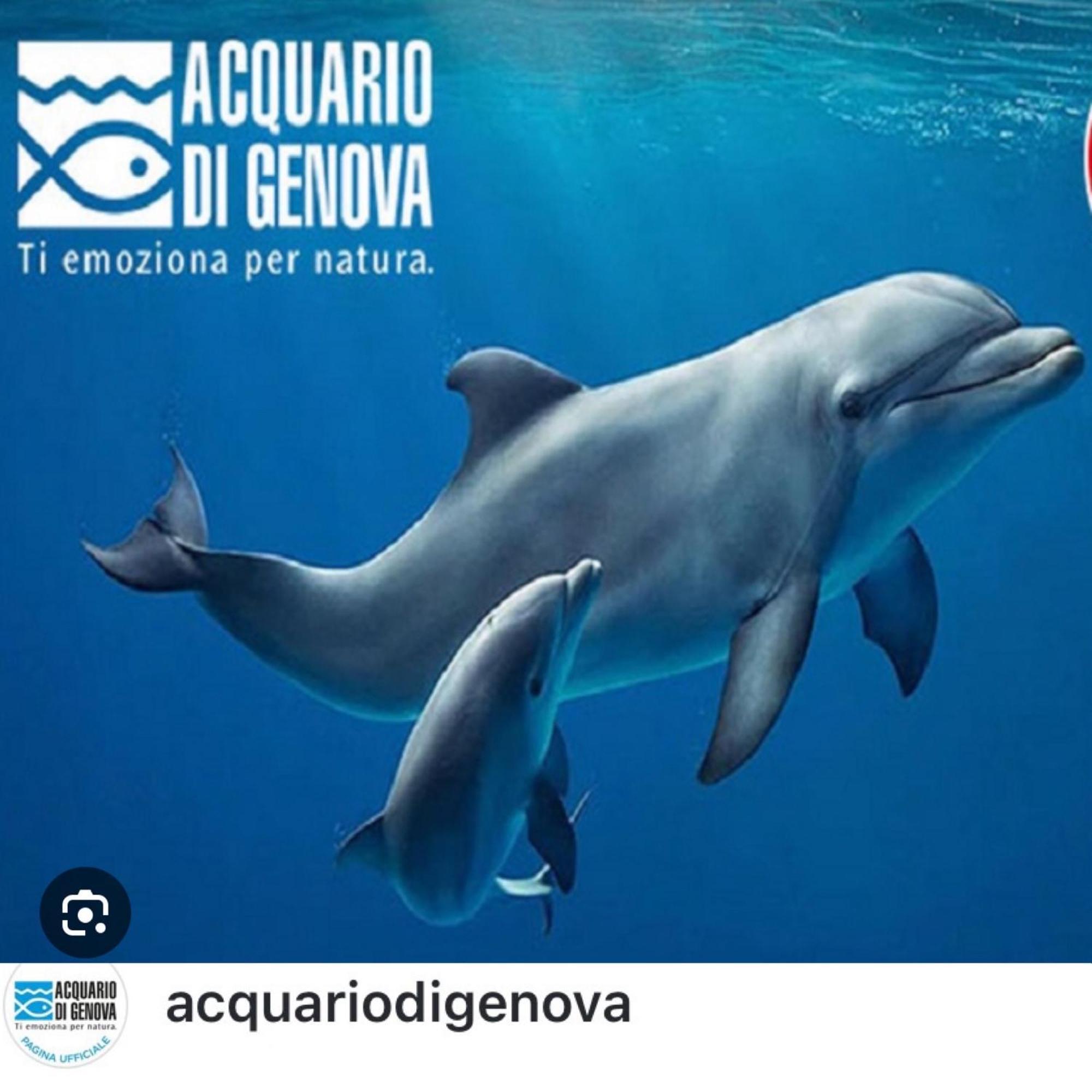 Casa Mia Sea&Center Villa Боляско Екстериор снимка